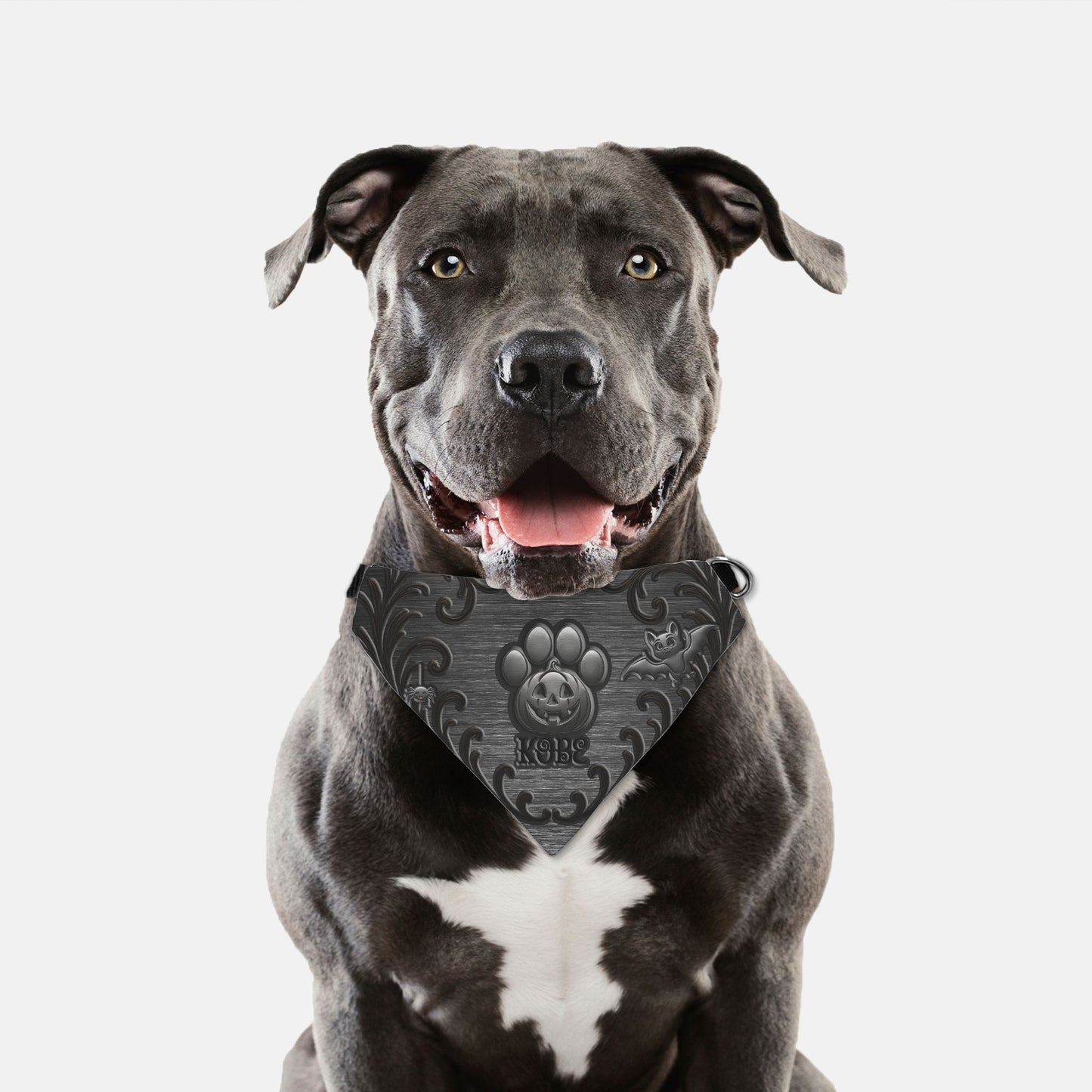 Midnight Mischief Paw Bandana