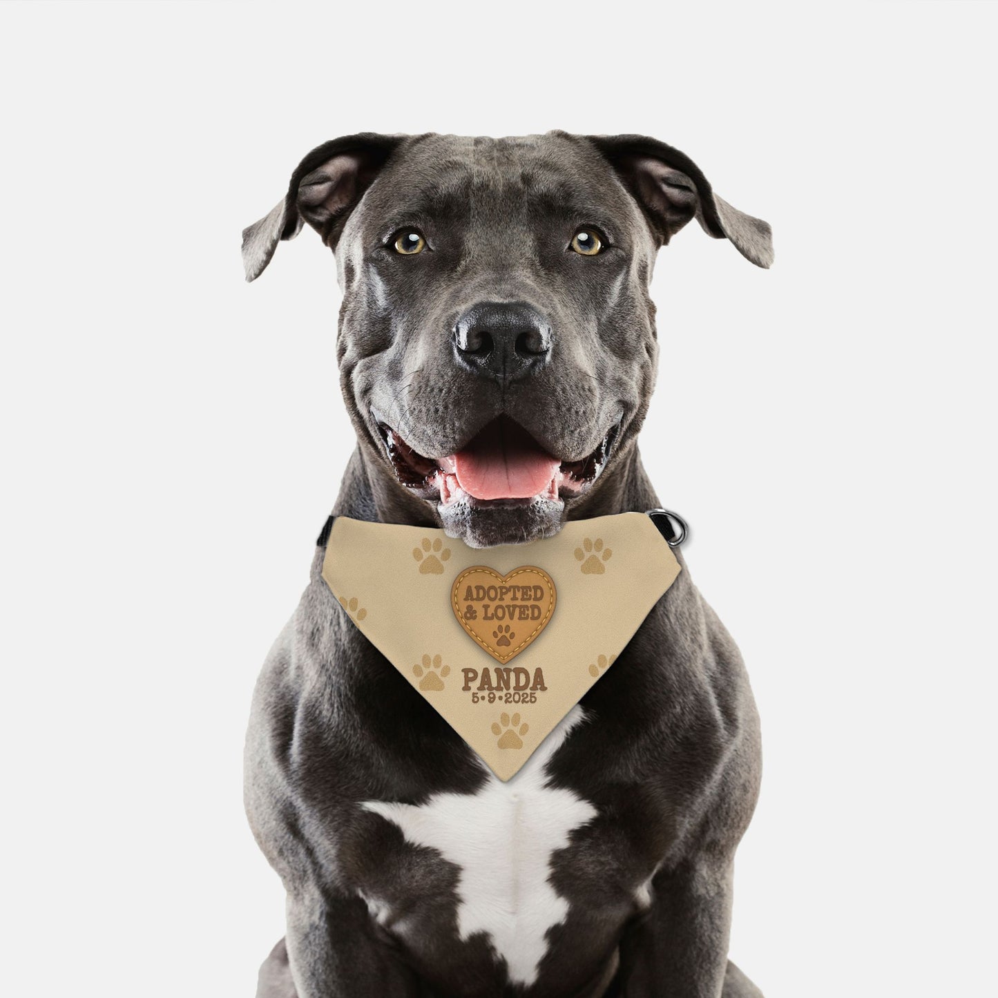 Adopted & Loved Dog Bandana