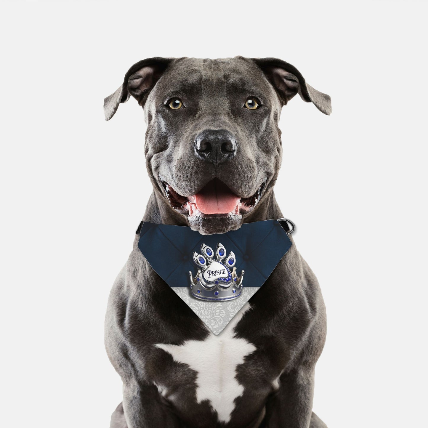 Prince Custom Paw Print Bandana Collar
