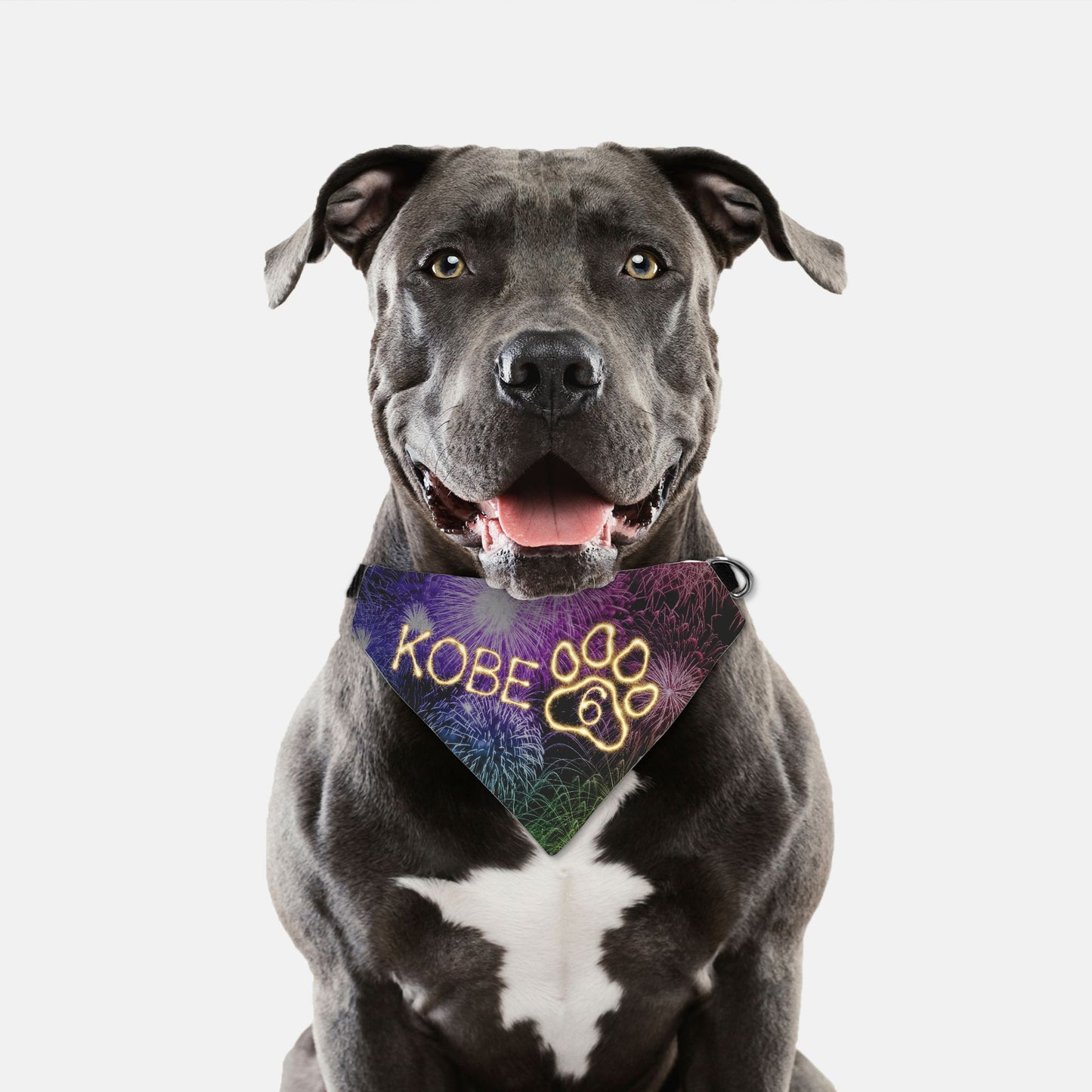 Fireworks Birthday Custom Paw Print Bandana Collar