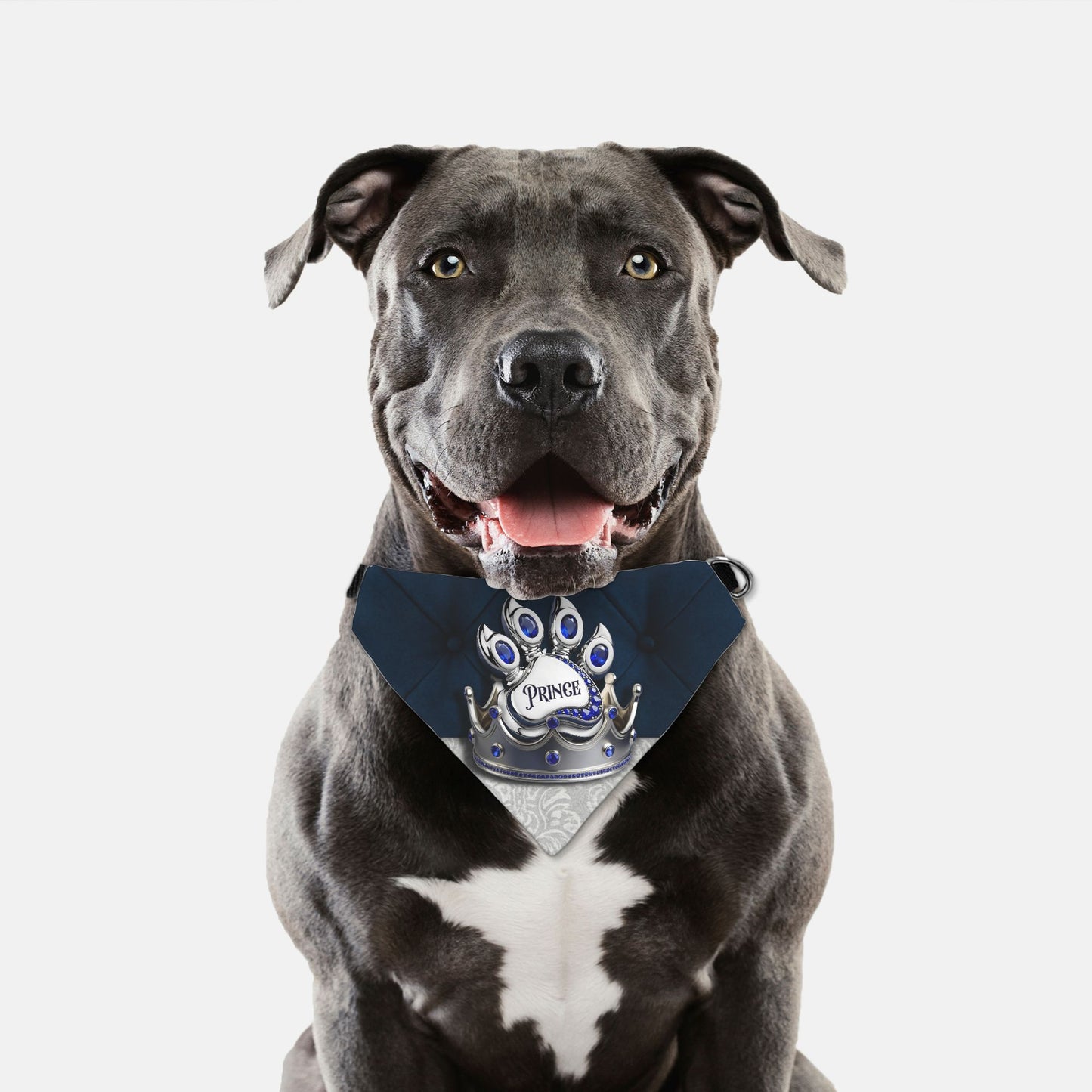 Prince Paw Print Bandana Collar XL