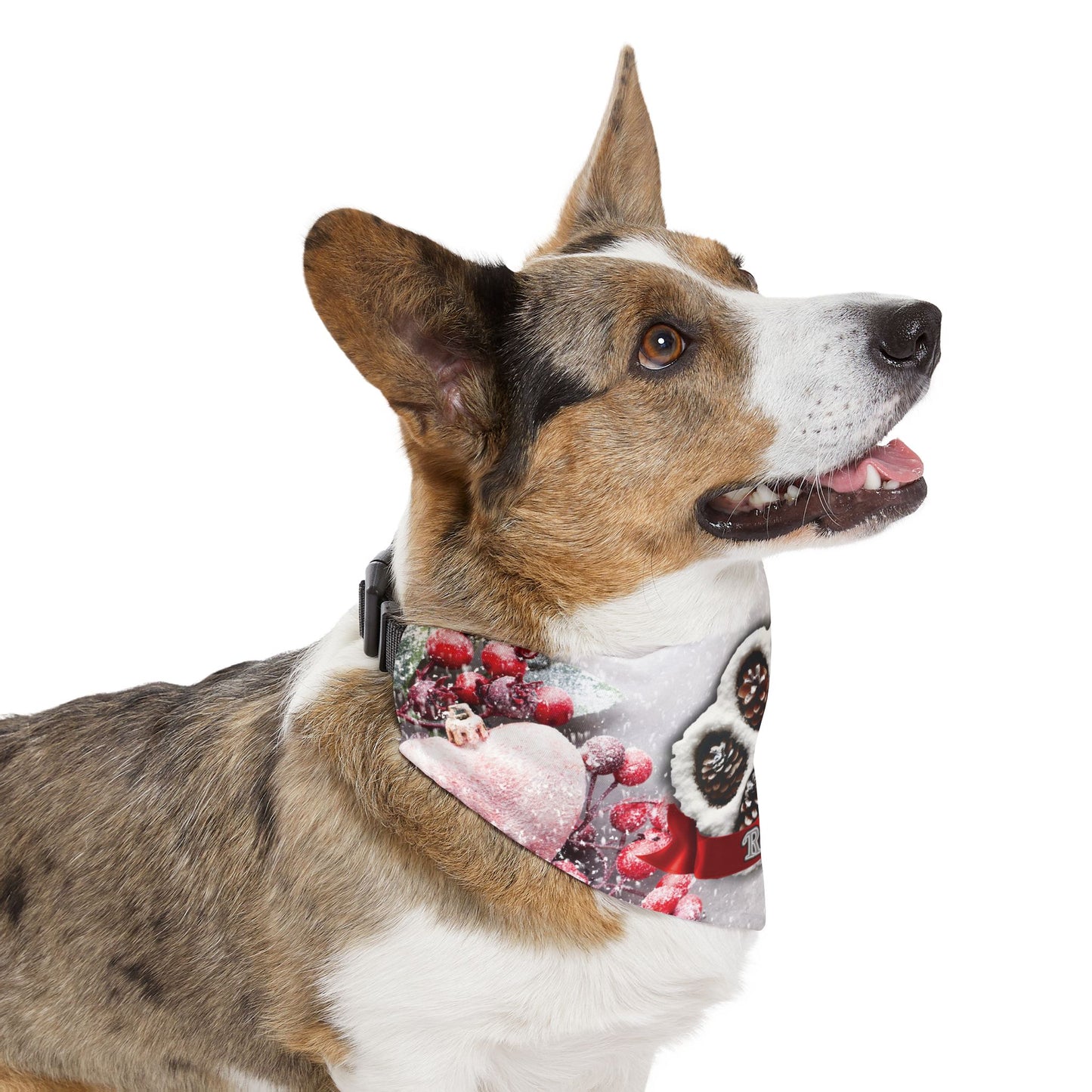 Winter Pinecone Paw Print  Dog Bandana Collar