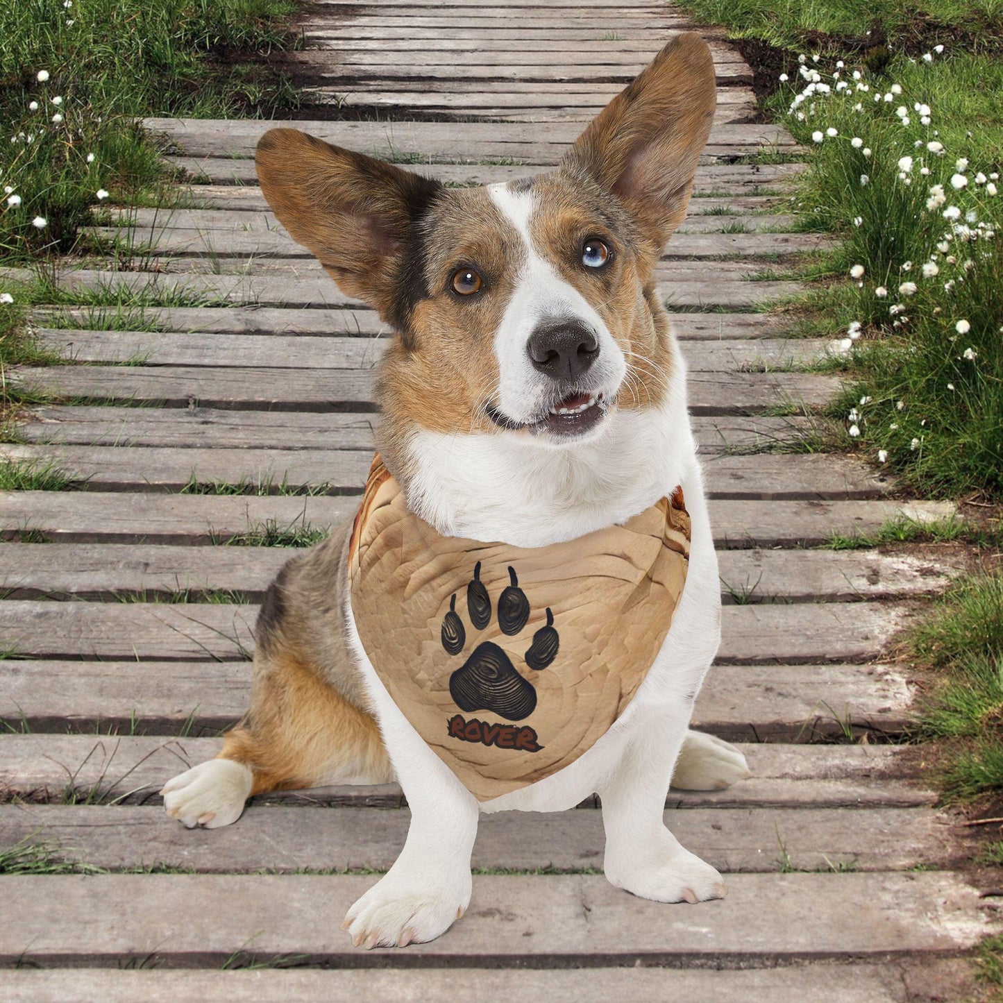 Wood Burnt Paw Print Pet Bandana Collar - Pawsome Prints