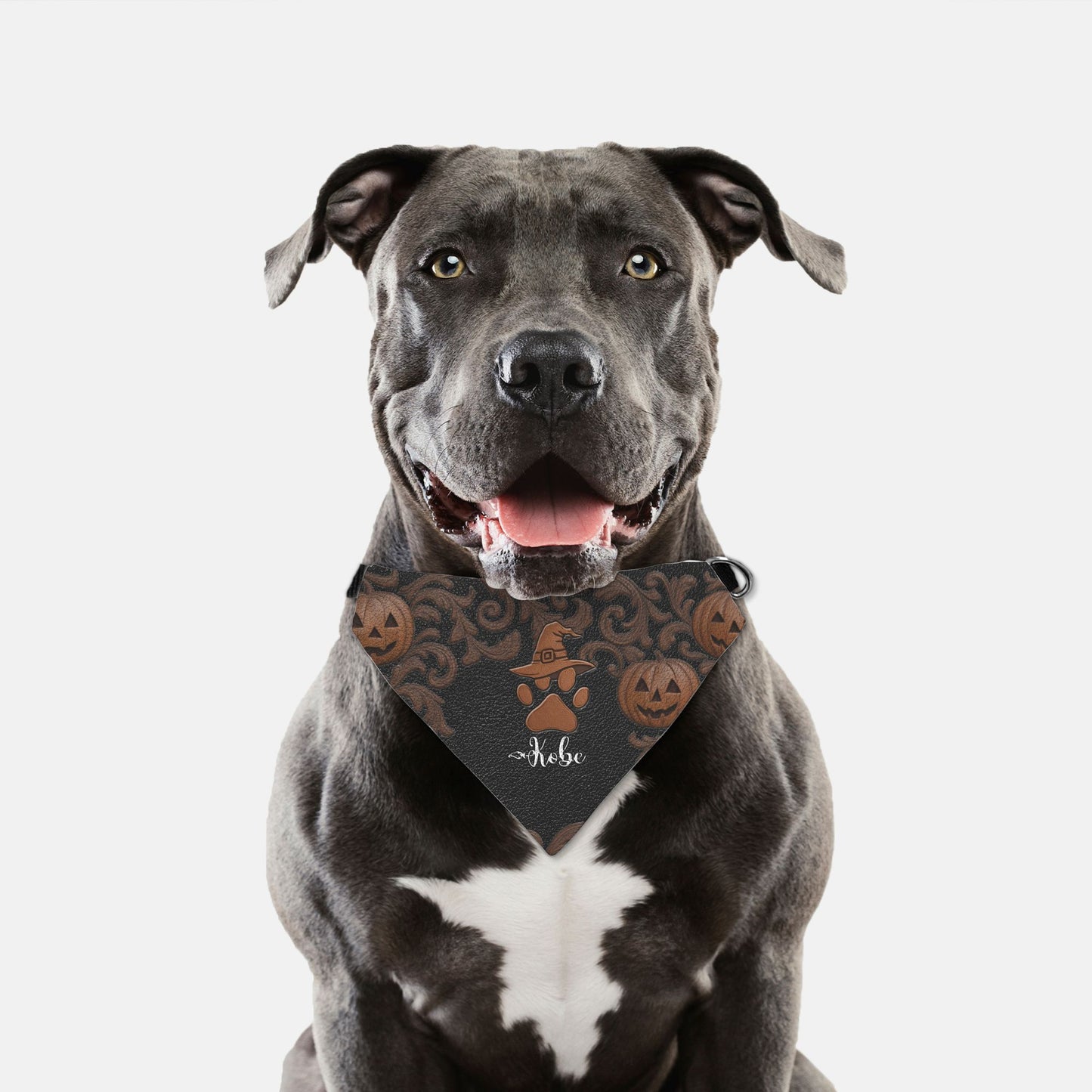 Bewitched Paw Print Bandana