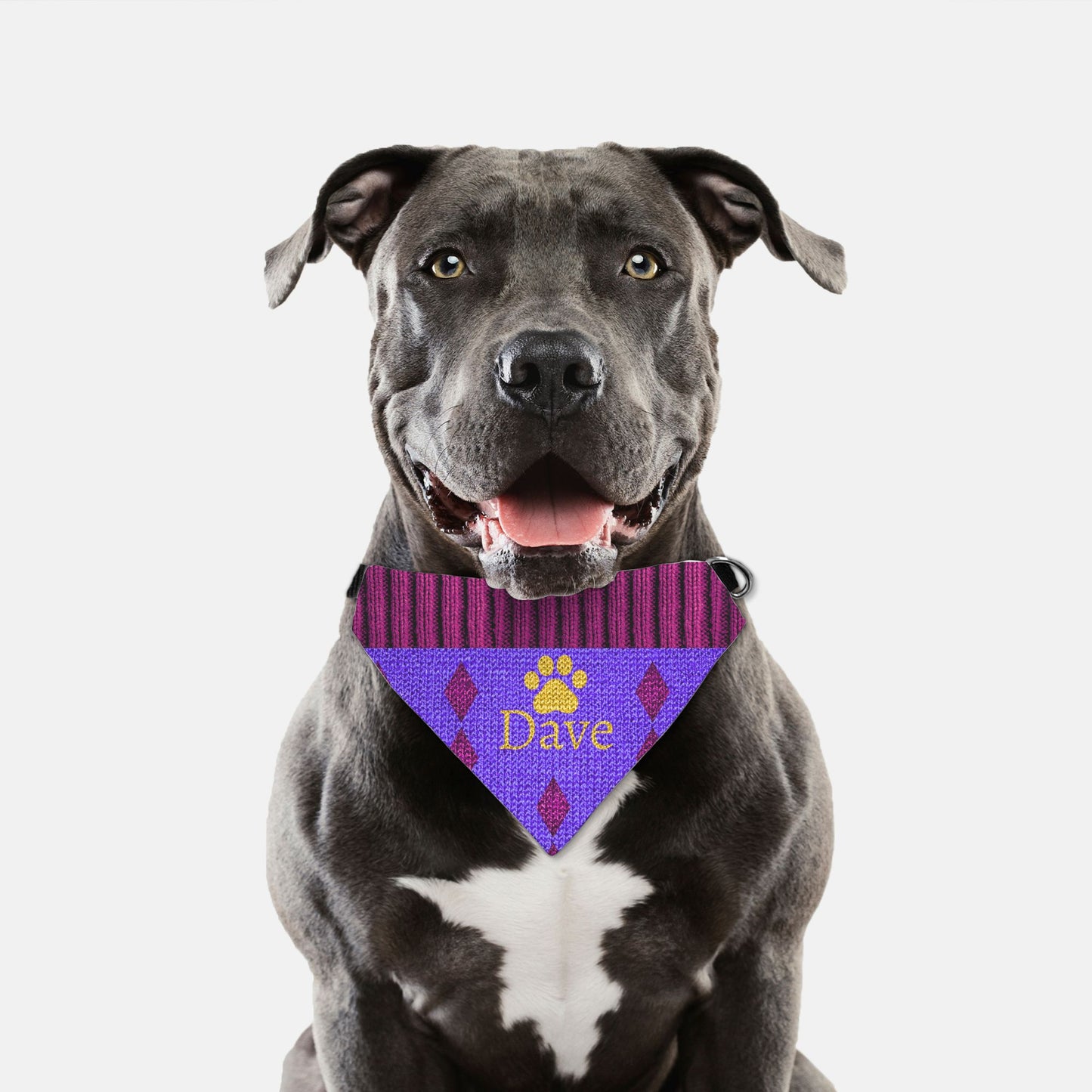 K-Fashion Purple Knit Custom Paw Print Bandana Collar L