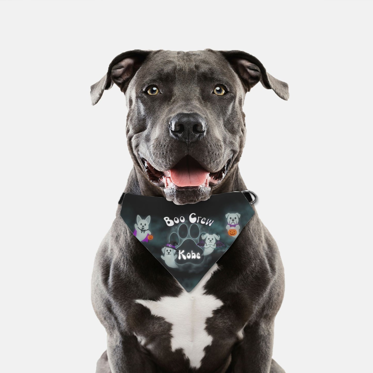 Boo Crew Paw Print Bandana Collar