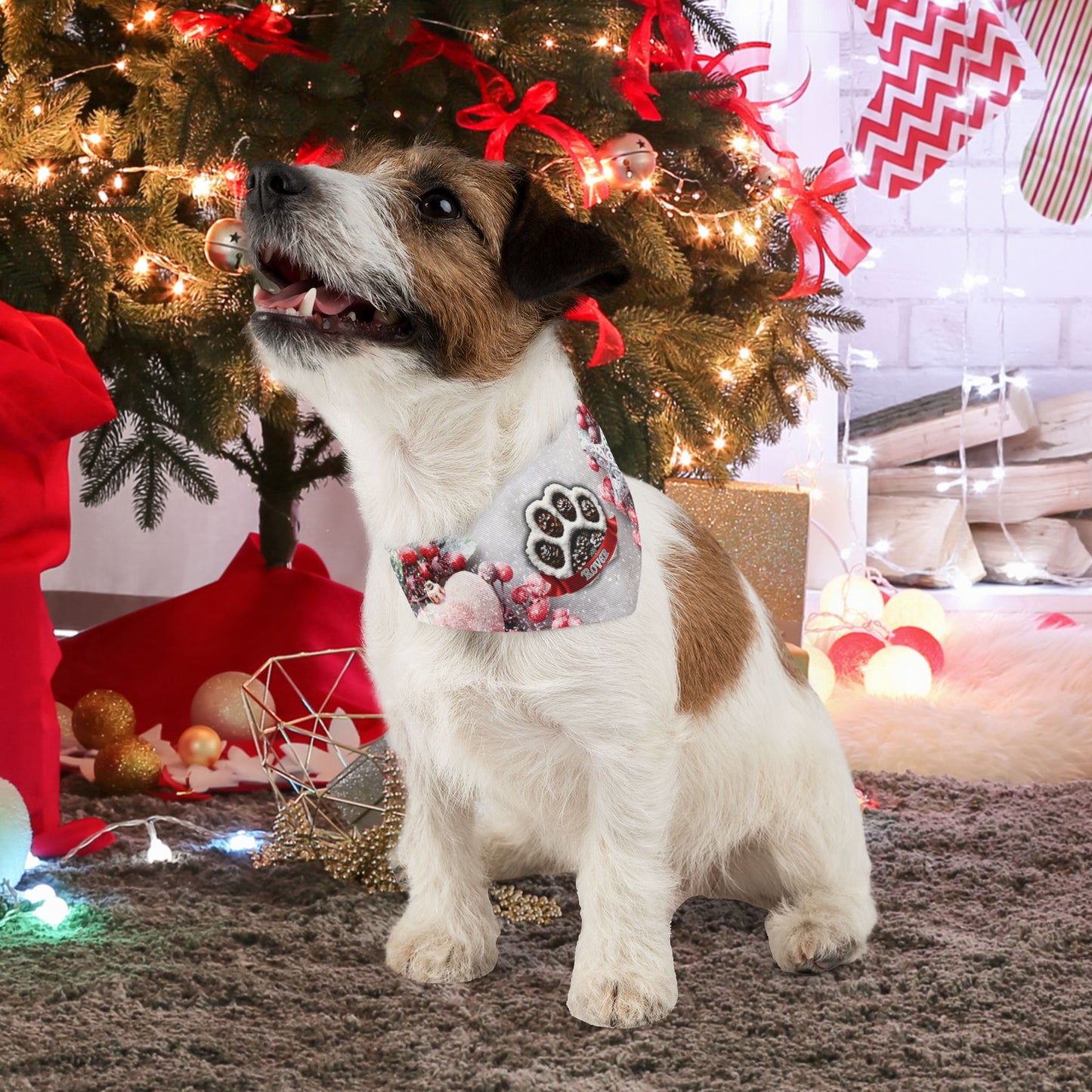 Winter Pinecone Paw Print  Dog Bandana Collar