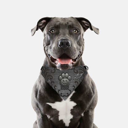 Midnight Mischief Paw Bandana