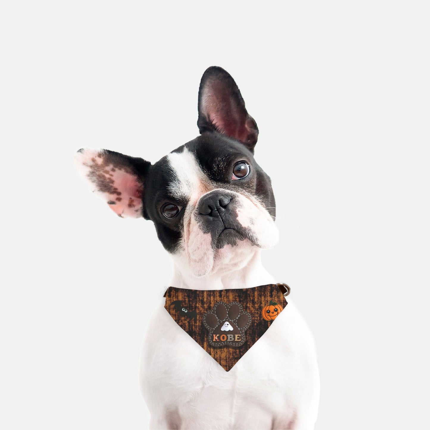 Spooky Stitches Paw Bandana