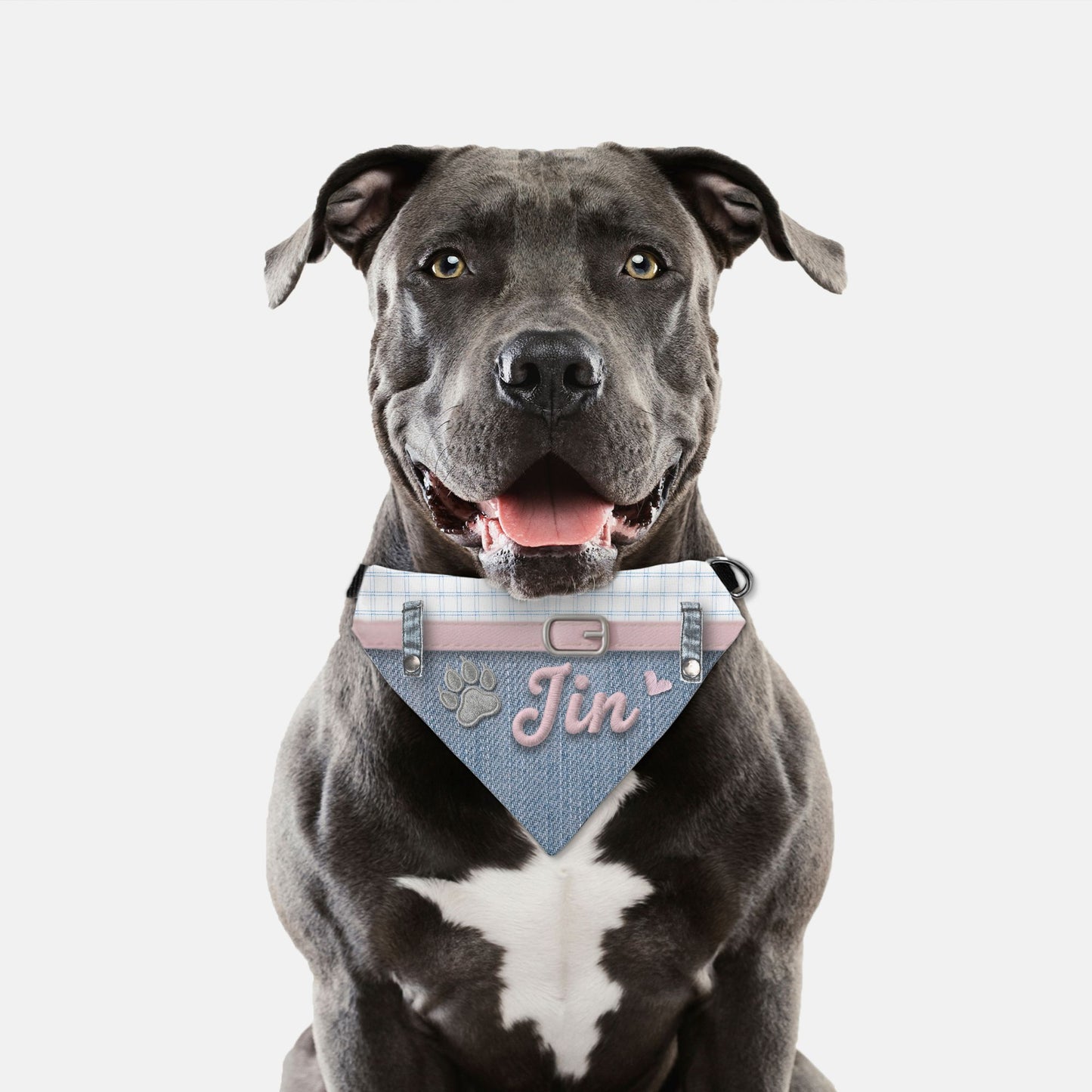 K-Fashion Plaid & Denim Custom Paw Print Bandana Collar