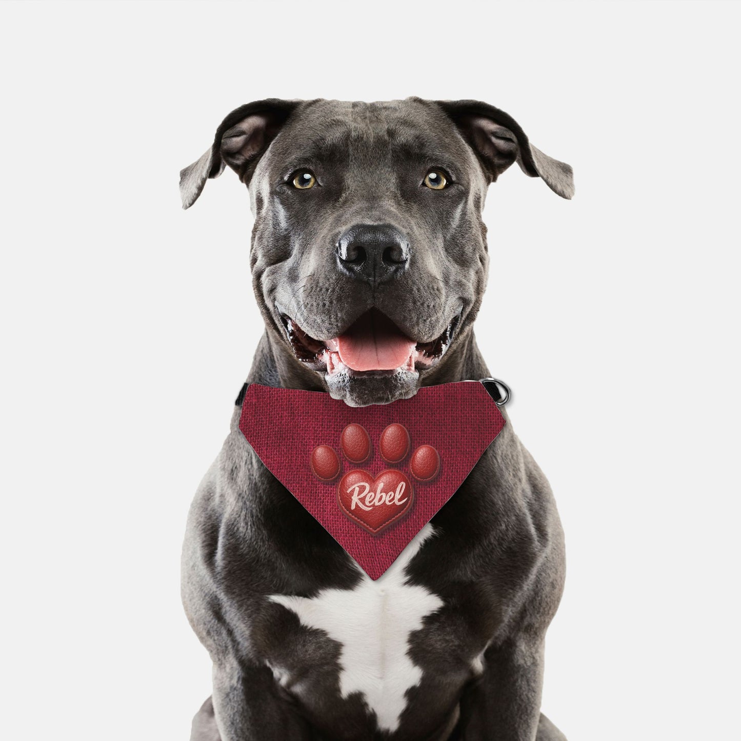 Crimson Leather Heart Custom Paw Print Bandana Collar