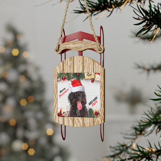 Merry Christmas 2024 Personalized Sled Ornament