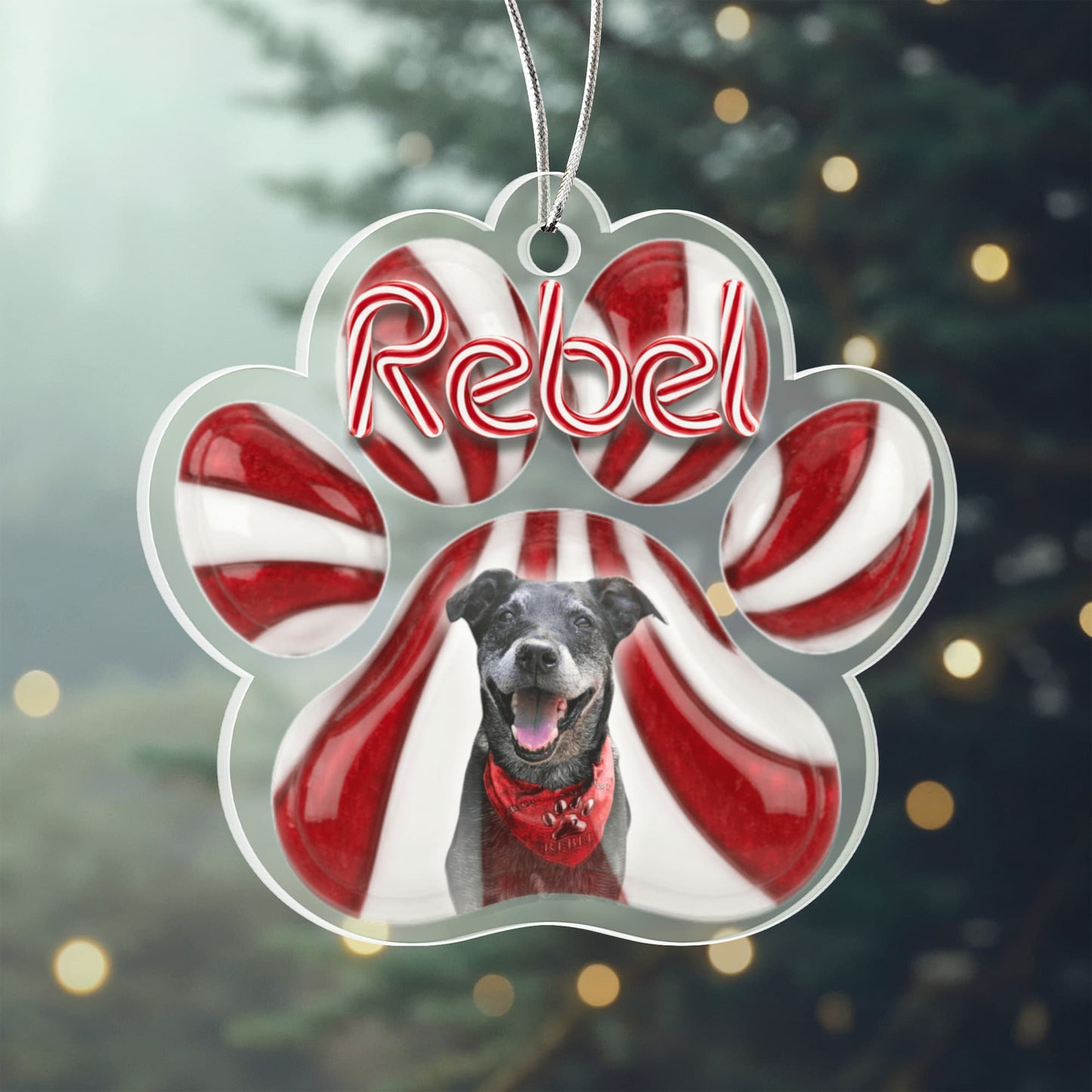 Peppermint Paw Personalized Acrylic Pet Ornament