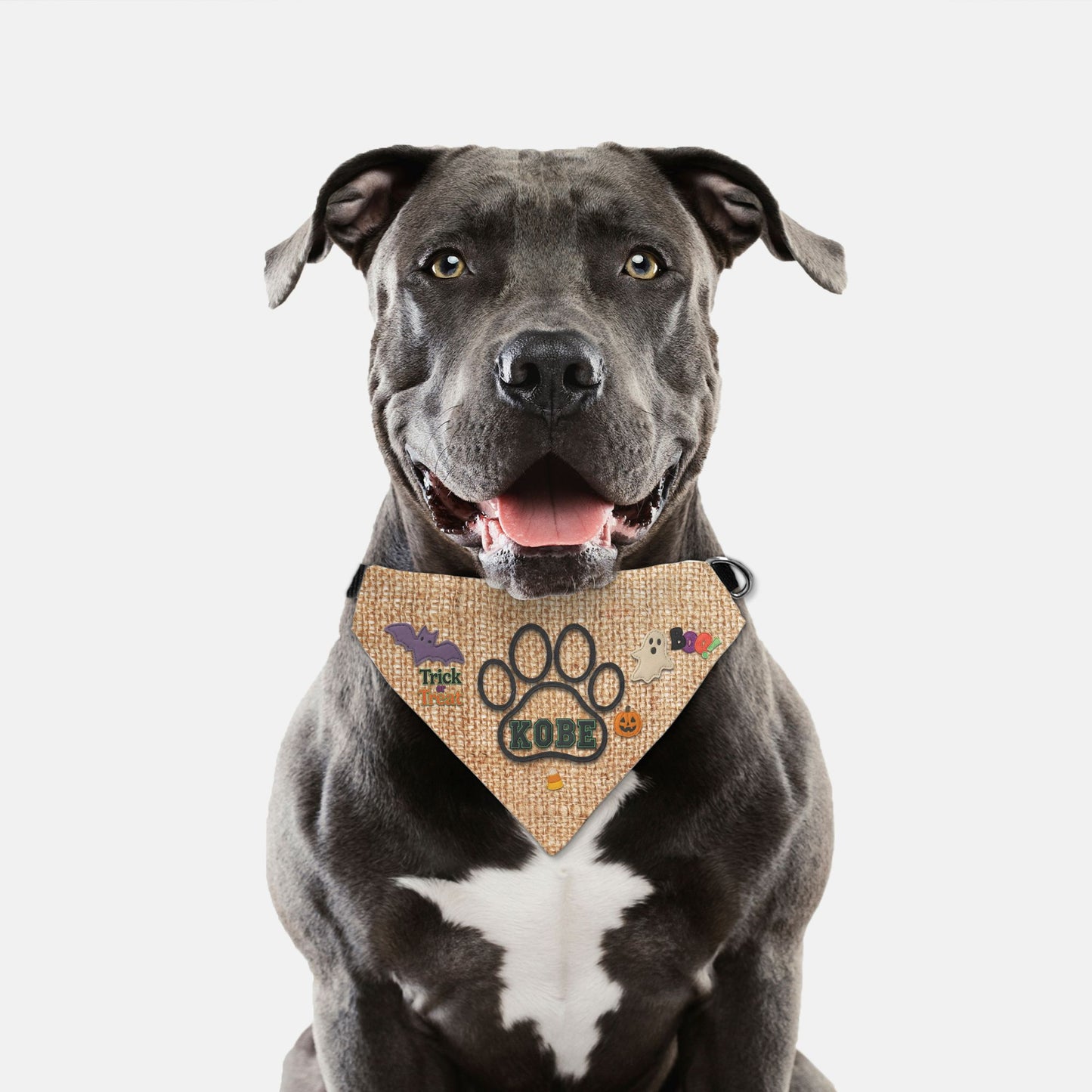 Rustic Halloween Paw Print Dog Bandana Collar