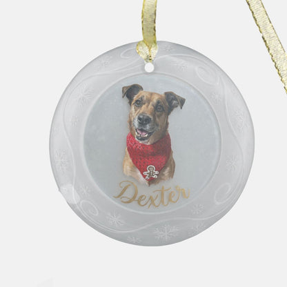 Frosted Swirl Painted-Style Portrait Ornament - Clear Glass (Round)