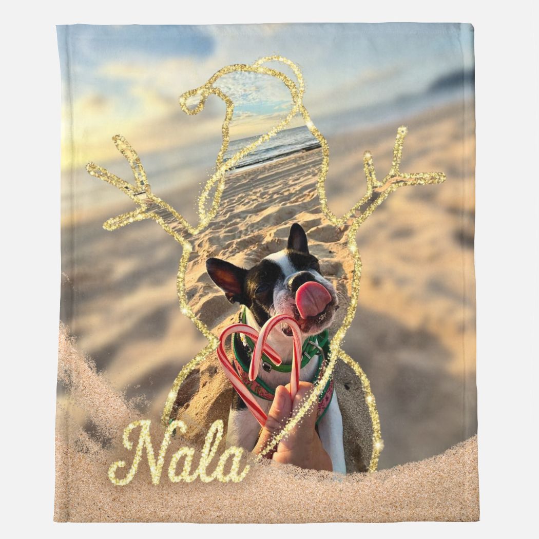 Sparkle Snowman Frame Custom Minky Blanket