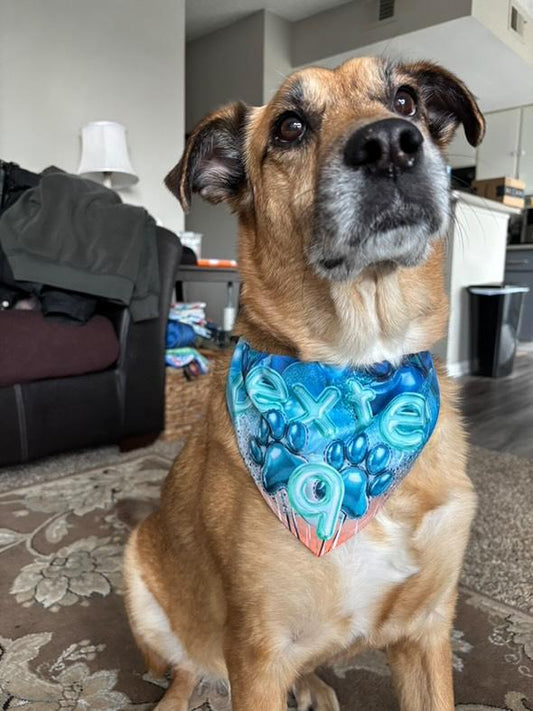 Sunset Birthday Bandana Collar S